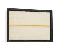 RIDEX 8A0401 Filtre à air du moteur Cartouche filtrante avec préfiltre