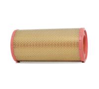 RIDEX 8A0424 Filtre à air
