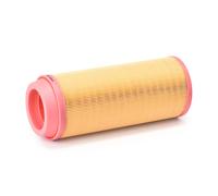 RIDEX 8A0667 Filtre à air