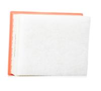 RIDEX 8A1615 Filtre à air