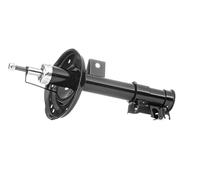 RIDEX Amortisseur Avant Droite Avant Pression de gaz Compatible avec FORD KA 3 portes RU8 KA 3/5 portes, FIAT 500 3 portes 312 500 C Cabriolet 312, ABARTH 500/595 / 695 3/5 portes 312
