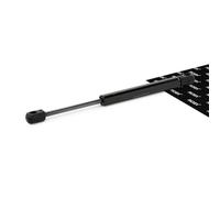 RIDEX AVANT, CAPOT-MOTEUR 514G0109 Vérin de capot