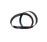 RIDEX Courroie Poly-V 305P0329 TIPO (160) TEMPRA S.W. (159) 915mm