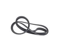 RIDEX 305P0459 Courroie Poly-V