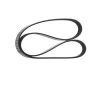 RIDEX Courroie Poly-V Courroie d'accessoire 305P0061