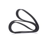 RIDEX Courroie Poly-V Courroie d'accessoire 305P0169 pour VW Eos (1F7, 1F8)