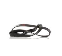 RIDEX Courroie Poly-V Courroie d'accessoire 305P0428