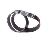 RIDEX Courroie Poly-V Courroie d'accessoire 305P0456