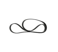 RIDEX Courroie Poly-V Courroie d'accessoire 305P0630