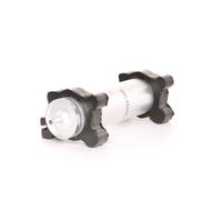 RIDEX Filtre à carburant 9F0065 pour BMW 3 Berline (E46) 3 Coupé (E46) X5 (E53)