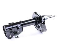 RIDEX Jambe de suspension Amortisseur pour HONDA CIVIC VIII Hatchback (FN, FK)