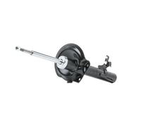 RIDEX Jambe de suspension Amortisseur pour ROVER 75 (RJ) Avant droit Gaz