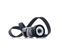 RIDEX Jeu de courroies trapézoïdales à nervures 542R0008 Poulie de tension compris EPDM (éthylène-propylène-diène-caoutchouc)