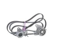 RIDEX Kit de distribution 307T0181 Nombre de dents: 83 & 163 Nombre des courroïes: 2 Rouleaux inclus: 2 33mm 1552mm