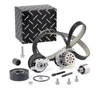 Pompe À Eau + Kit De Courroie De Distribution Ina 530 0550 32 pour Audi Seat VW