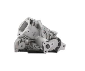 RIDEX PLUS 1260W0119P Pompe à eau