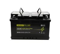 RIDEX PLUS 1S0013P Batterie