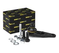 RIDEX PLUS 2462S0028P Rotule de suspension Avant avec monture Compatible avec RENAULT Clio 2 3/5 portes BB, CB, BB0/1/2, CB0/1/2