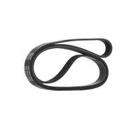 RIDEX PLUS 305B0285P Courroie Poly-V