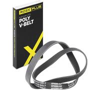 RIDEX PLUS 305P0027P Courroie Poly-V Compatible avec RENAULT Clio 2 3/5 portes BB, CB, BB0/1/2, CB0/1/2