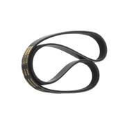 RIDEX PLUS 305P0029P Courroie Poly-V