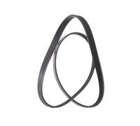 RIDEX PLUS 305P0038P Courroie Poly-V