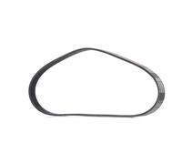 RIDEX PLUS 305P0049P Courroie Poly-V