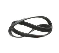 RIDEX PLUS 305P0051P Courroie Poly-V