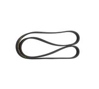 RIDEX PLUS 305P0088P Courroie Poly-V