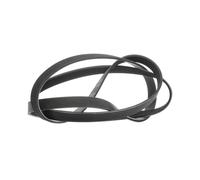 RIDEX PLUS 305P0099P Courroie Poly-V