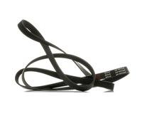 RIDEX PLUS 305P0102P Courroie Poly-V