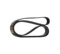 RIDEX PLUS 305P0107P Courroie Poly-V