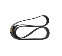 RIDEX PLUS 305P0108P Courroie Poly-V