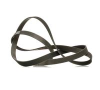 RIDEX PLUS 305P0109P Courroie Poly-V