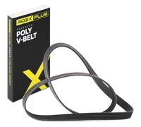 RIDEX PLUS 305P0144P Courroie Poly-V pour VW Polo V 3/5 portes (6R1, 6C1)