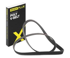 RIDEX PLUS 305P0144P Courroie Poly-V pour VW Polo V 3/5 portes (6R1, 6C1)