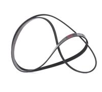 RIDEX PLUS 305P0160P Courroie Poly-V