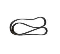 RIDEX PLUS 305P0191P Courroie Poly-V