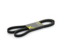 RIDEX PLUS 305P0222P Courroie Poly-V