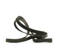 RIDEX PLUS 305P0229P Courroie Poly-V