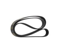 RIDEX PLUS 305P0234P Courroie Poly-V