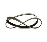 RIDEX PLUS 305P0242P Courroie Poly-V