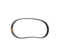 RIDEX PLUS 305P0336P Courroie Poly-V