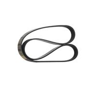 RIDEX PLUS 305P0341P Courroie Poly-V