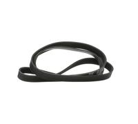 RIDEX PLUS 305P0362P Courroie Poly-V