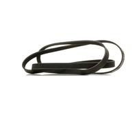 RIDEX PLUS 305P0365P Courroie Poly-V