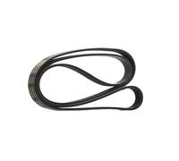 RIDEX PLUS 305P0402P Courroie Poly-V
