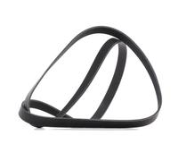 RIDEX PLUS 305P0416P Courroie Poly-V