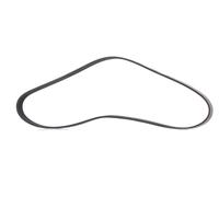 RIDEX PLUS 305P0419P Courroie Poly-V