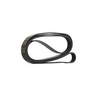 RIDEX PLUS 305P0481P Courroie Poly-V
